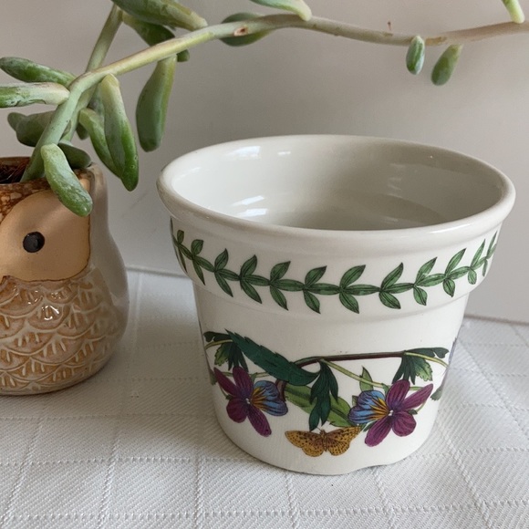 Portmeirion Other - PORTMEIRION botanic garden 3” flower pot